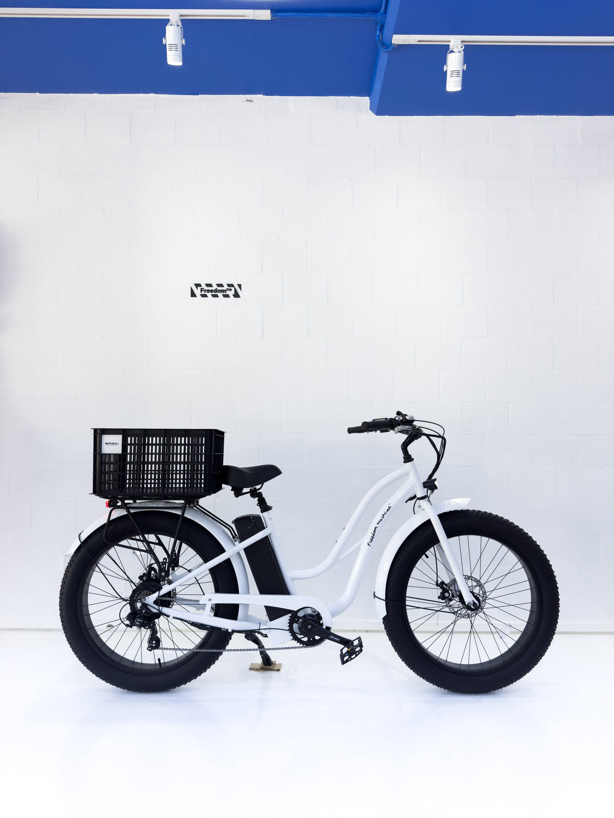 Ex-Hire Beach Cruiser — Used, Varying Condition
