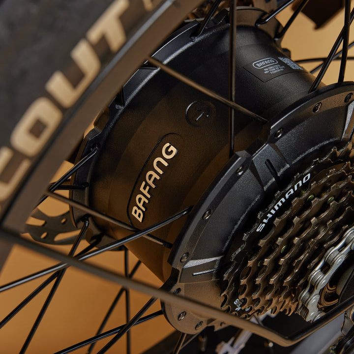 COAST OFF-ROAD detail 8