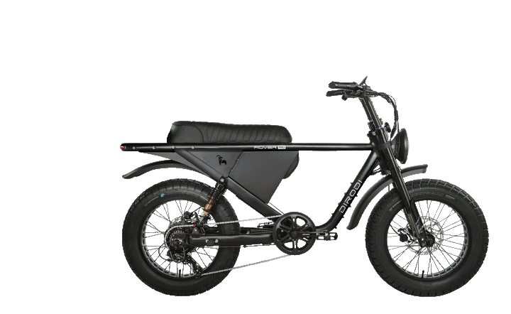 DIRODI Rover Pro - freedommachine