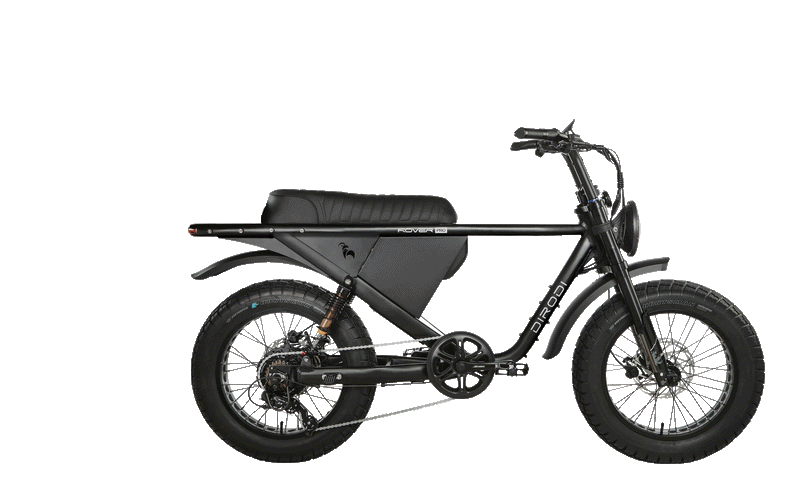 DIRODI Rover Pro - freedommachine
