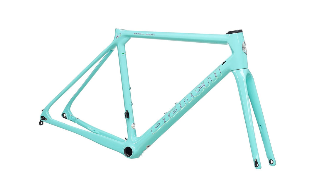BIANCHI Specialissima disc Frameset