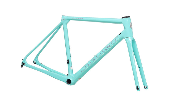 BIANCHI Specialissima disc Frameset