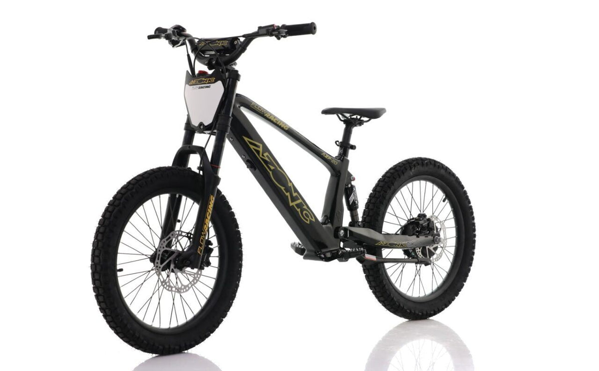 Azonic Flow 20 Electric Balance Bike